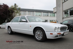 Jaguar in weiß glänzend Foliert